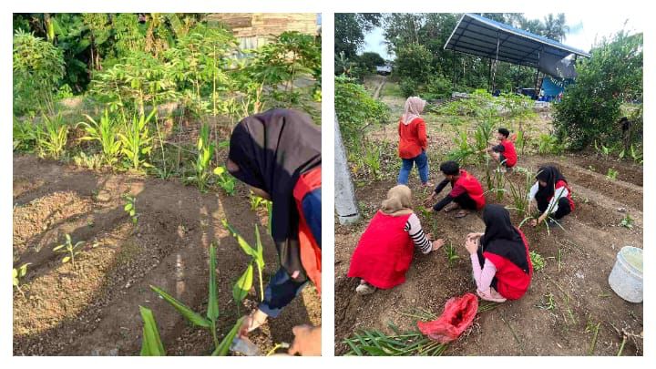 Mahasiswa KKN Unhas dan PKK Desa Kaluku Bersatu Kembangkan Kebun TOGA