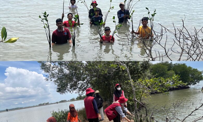 Mahasiswa KKN Uniprima Rehabilitasi 4000 Mangrove di Pesisir Wajo