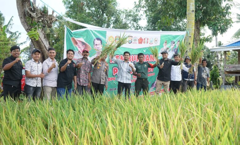 Petani Wajo Bersatu! Rembuk Tani & Panen Raya Digelar, Alsintan Jadi Perjuangan