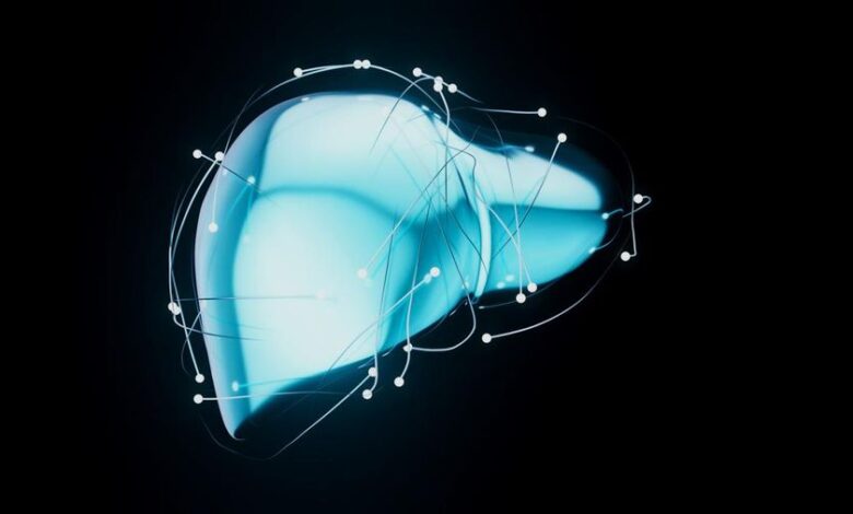 Jangan Anggap Sepele! 12 Gejala Liver Parah Ini Bisa Berujung Transplantasi Hati