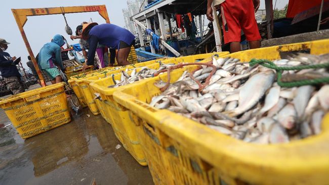 10 Ikan Mengandung Merkuri Tinggi Ini Sering Dikonsumsi Warga Indonesia