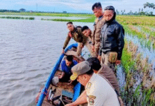 Main Setrum di Danau Lampulung, Seorang Nelayan Diciduk Satpol PP Wajo!