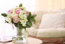 Jangan Letakkan 5 Tanaman Ini di Pintu Masuk Rumah Anda, Bisa Bawa Energi Negatif