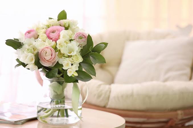 Jangan Letakkan 5 Tanaman Ini di Pintu Masuk Rumah Anda, Bisa Bawa Energi Negatif