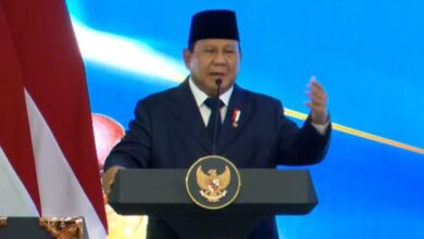 Sengketa 4 Pulau Krusial Aceh vs Sumut Bakal Diputuskan Langsung Oleh Presiden Prabowo Pekan Depan! Ini Dia Pulau-Pulau yang Jadi Rebutan Panas!