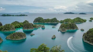 Terungkap! Ini 4 Perusahaan Tambang Nikel yang Diduga Rusak Surga Raja AmpatÂ