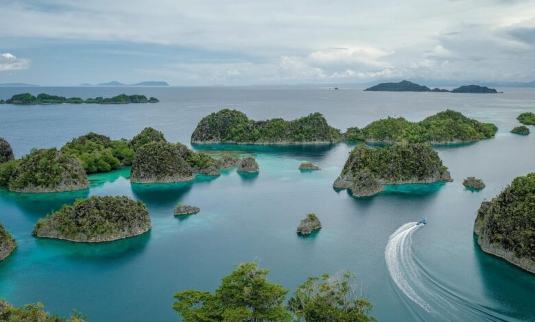 Terungkap! Ini 4 Perusahaan Tambang Nikel yang Diduga Rusak Surga Raja Ampat 