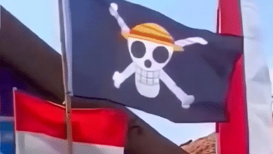 Fenomena Baru Jelang Kemerdekaam: Bendera One Piece Berkibar Ada Pesan Tersembunyi untuk Pemerintah?