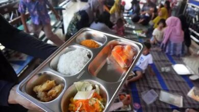 Gaduh Program Makan Bergizi Gratis: Nampan Diduga Mengandung Minyak Babi, Ini Respons Pemerintah