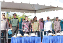 Gencarkan Gerakan Bersama, Pemerintah Wajo Ajak Semua Pihak Tekan Angka Perkawinan Anak