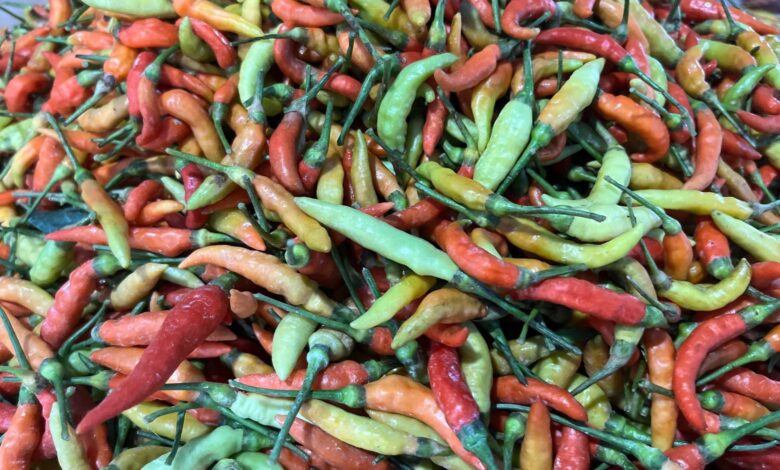 Harga Cabai Rawit Turun Drastis di Awal Agustus, Kendalikan Inflasi Pangan