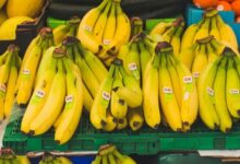 Tak Hanya Buahnya, Kulit Pisang Miliki Manfaat Besar bagi Kesehatan