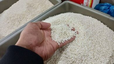 Harga Beras Meroket, Mentan Amran Sulaiman: Masih Terjangkau, Bandingkan dengan Jepang