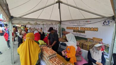 Pemprov Sulsel Gelar Gerakan Pangan Murah Sepanjang Agustus 2025, Kuatkan Kolaborasi dengan Bulog