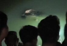 Tragedi di Sungai Bulete Wajo: Warga Tewas Diterkam Buaya Saat Mandi