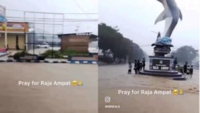 Banjir Raja Ampat, Susi Pudjiastuti Desak Prabowo Hentikan Semua Aktivitas Tambang