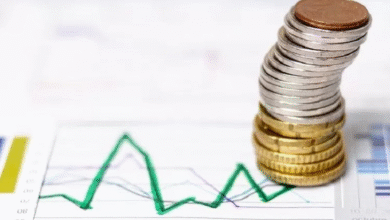 Peringkat Kebebasan Ekonomi Indonesia Naik ke-65, CME Apresiasi Disiplin Fiskal dan Moneter