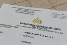 Perpanjang SKCK Online Praktis Cukup Pakai HP! Ini Panduannya