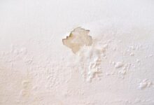 5 Langkah Ampuh Atasi Tembok Lembap di Musim Hujan