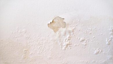 5 Langkah Ampuh Atasi Tembok Lembap di Musim Hujan