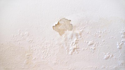 5 Langkah Ampuh Atasi Tembok Lembap di Musim Hujan