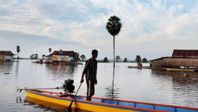 Cegah Kerusakan Ekosistem, Dinas Perikanan Wajo Bentuk Tim Terpadu Perluas Pengawasan Illegal Fishing Hingga Teluk Bone
