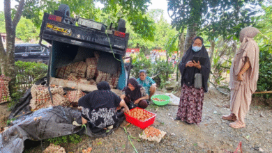 Sopir Ngantuk dan Tertidur, Mobil Pick Up Pengangkut Ratusan Telur Terbalik di Bone