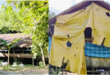 Warga Attakae Desak Pemkab Wajo Tutup Kandang Ayam Tak Berizin