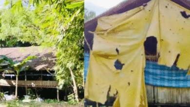 Warga Attakae Desak Pemkab Wajo Tutup Kandang Ayam Tak Berizin